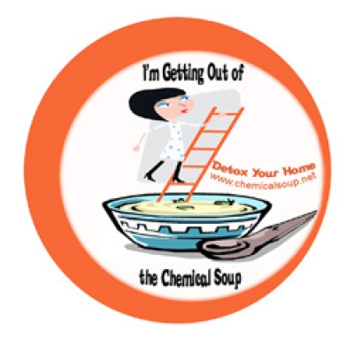 In A Chemical Soup: Detox Your House