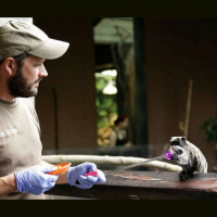 Jim Mackie – Animal Training and behavior officer, Zoological society of London.