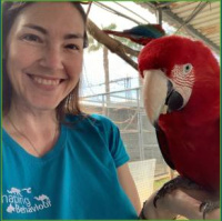 Building Confidence  Overcoming Impostor Syndrome with Nicky Plaskitt [Ep 218]