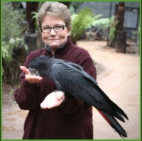 [Episode 99] Pamela Clark - 10 things parrot consultants need to know in 2019