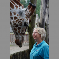 Eva Bertilsson – Carpe Momentum Animal Training flow-charts  choice/control