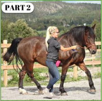 Exploring Nuances  connecting dots #2 - Eva Bertilsson  Angelica Hesselius [Episode 181]