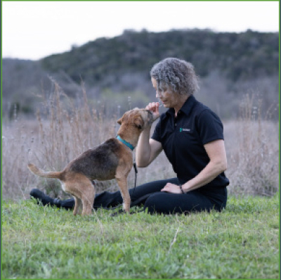 Animal Training Academy