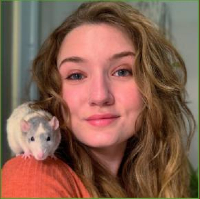 Animal Training Academy