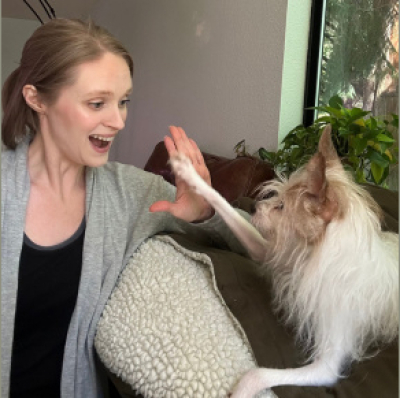 Animal Training Academy