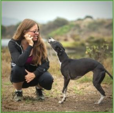 Animal Training Academy