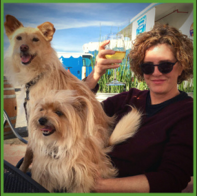 Animal Training Academy