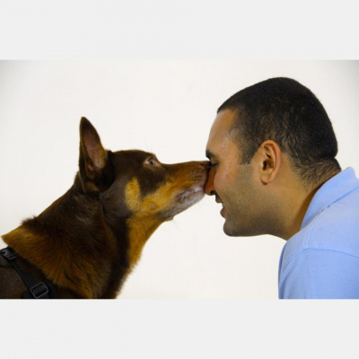 Animal Training Academy