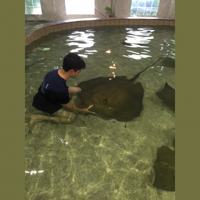 Animal Training Academy