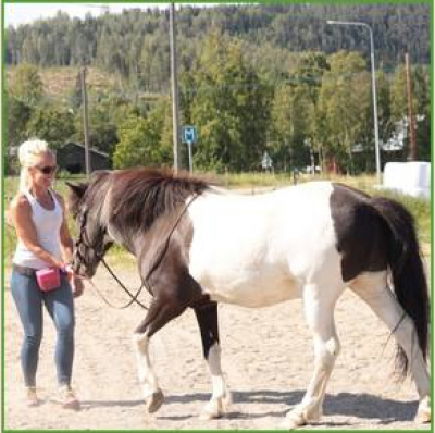 Animal Training Academy