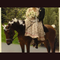 Sabine Schleese on Customized and Humane Saddles for Rider and Horse