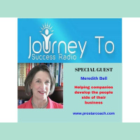 Diana Dentinger interview Meredith Bell Co-Founder of Performance Support System