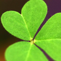 Ep.23: Good Lucky Life