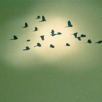 FutureHero Podcast (teaser)