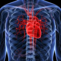 [Meditation] Channeling the Unstoppable Power of the Human Heart (Music by Amani Friend  Psylab)