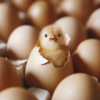 [Ep.15] Come out, Come out, Wherever You Are (DJ mix from Lucky)