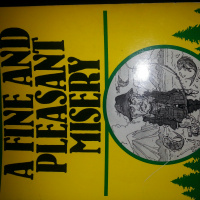 The Modified Stationary Panic at Driehoeven