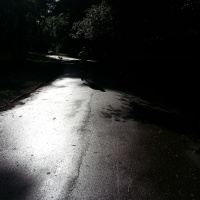 Hate Bribes at Bingham Park