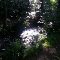 Last Enemy at Bingham Park