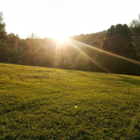 Big Tax Refund Coming at Bingham Park