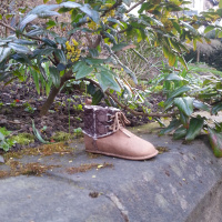 Consider The Following: A Heart to Know Me. A Tale of Two Figs - 20 April 2013 at Bingham Park