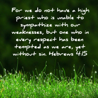 Consider The Following : 03 April - Isaiah 11 at Bingham Park