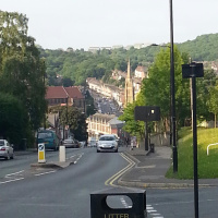 Im What You Need at Bingham Park