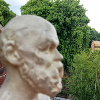 One Way at Bingham Park