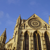 Forsaken at Bingham Park