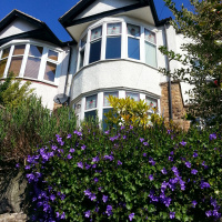 God Tried To Kill You! at Bingham Park