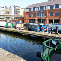 Remind God? at Bingham Park