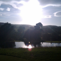 How Far Will It Take You at Bingham Park