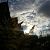 Consider The Following: God Is Not Playing God, He Is God! at Bingham Park