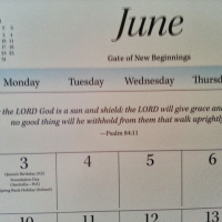 Schedule It at Bingham Park