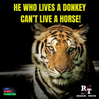 He Who Lives A Donkey Cant Live A Horse-SICILIAN WISDOM - 5:31:25, 8.48 AM