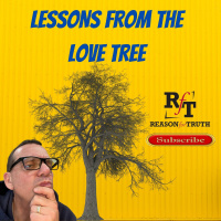 Lessons From The Love Tree - 2:4:22, 8.09 PM
