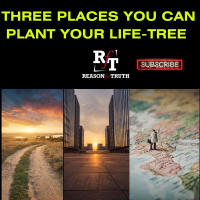 Three Places You Can Plant Your Tree - 9:19:23, 8.32 AM