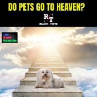 DO PETS GO TO HEAVEN? - 5:26:25, 3.21 PM