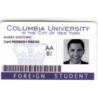 Elimination Of The Snakes