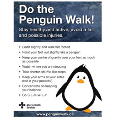 Elimination Of The Snakes