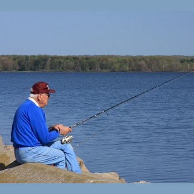 Elimination Of The Snakes