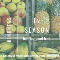 In Season: Bearing Fruit - Part 5: Kindness