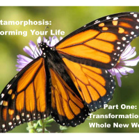 Transformation: A Whole New World