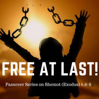 Free At Last- Released From Pain