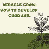 Miracle Grow: How To Develop Good Soil