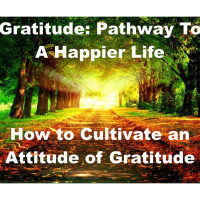 Gratitude: How to Cultivate An Attitude of Gratitude
