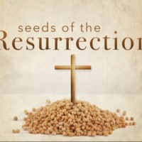 March 31/19 Stedfast