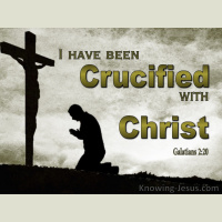 May 23-2020 “A Pastoral Call” 