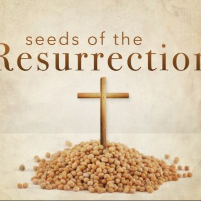 Wil Clawsons Podcast