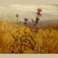 36. Fidelia Bridgess Connection to Old Lyme  a Ride on the Air Line Trail